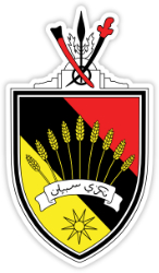 IIOA Logo